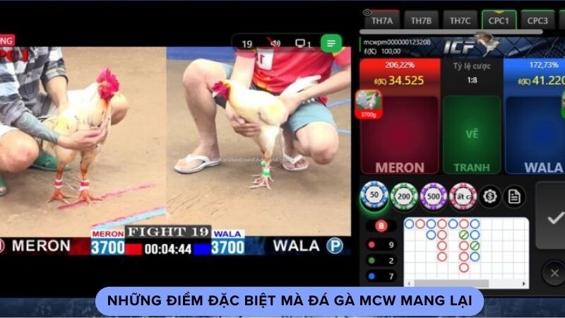 Những điểm đặc biệt mà đá gà MCW mang lại